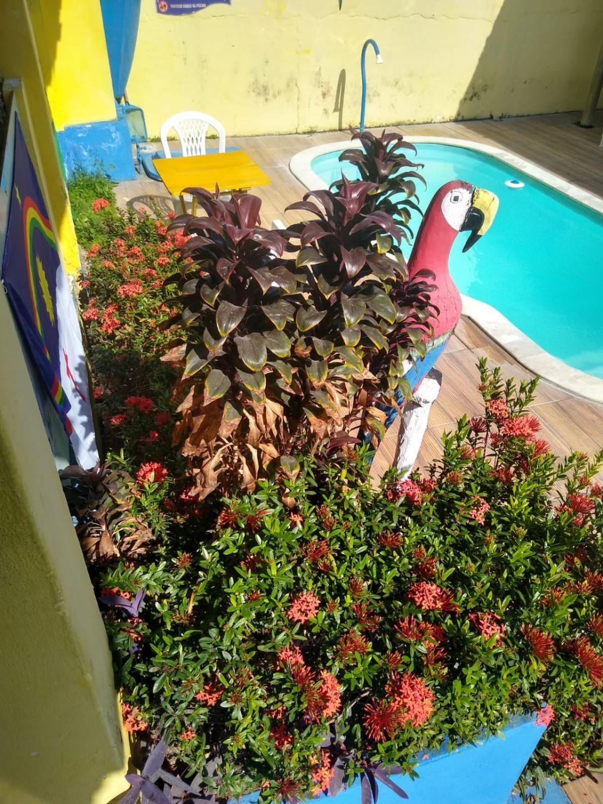 Ceu Azul Hotel Pôrto das Galinhas